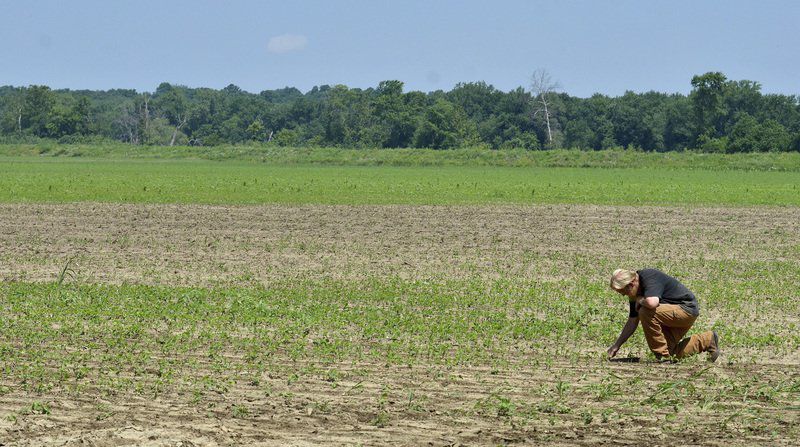 Jack and Mike Strain are father-and-son farmers